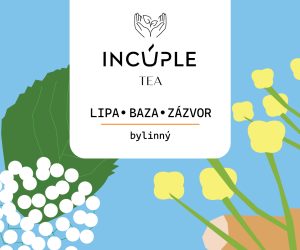 Lipa * Baza * Zázvor - bylinný čaj - čaj incuple